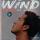 ��wind ̵��� ��