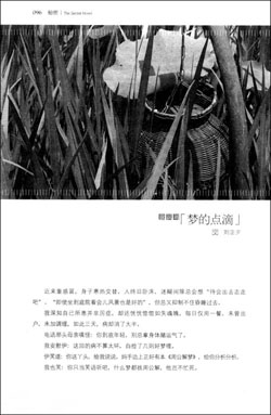 图片 説明文