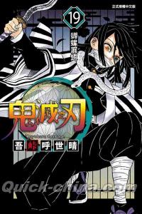 『鬼滅之刃 19（繁體中文／台湾版）』 