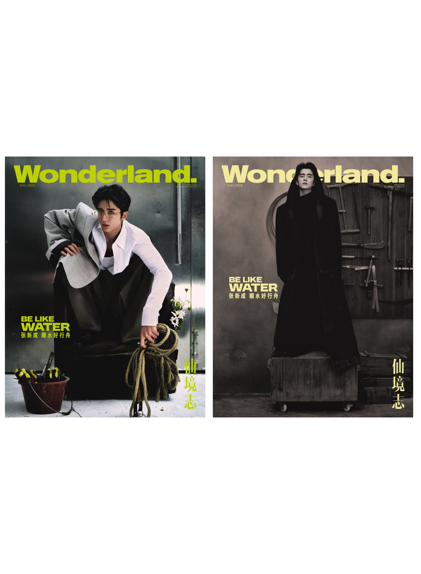 『新視線Wonderland 2025年5月AB版2冊セット（張新成）』 