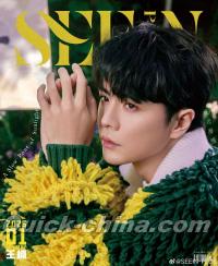 『SEEN PLUS 2026年B版（王楠、公式カード3枚）』 