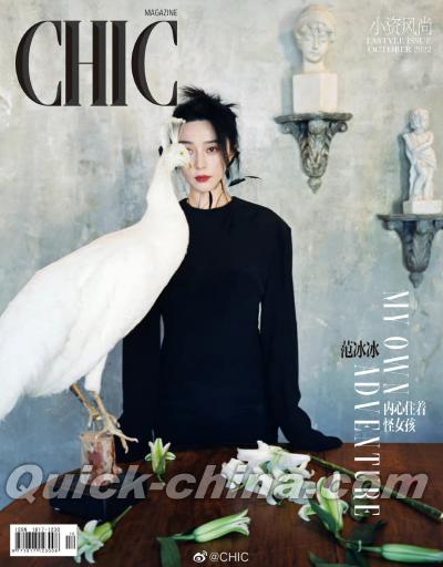 『小資CHIC TASTYLE 2022年10月A款（范冰冰）』