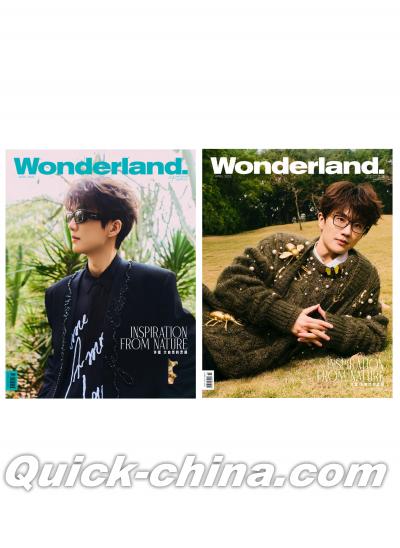 『新視線Wonderland 2025年4月AB版2冊セット（許嵩、公式カード1枚）』