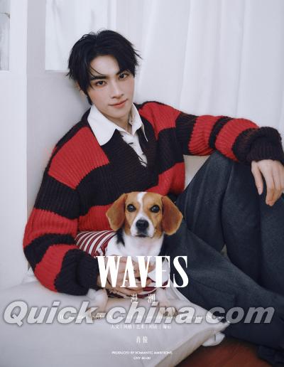 『WAVES漫潮 2026年A版（シャオジュン肖俊／威神V、公式カード3枚＋公式ポスター1枚）』