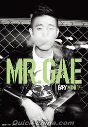 『MR.GAE （台湾版）』