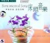 mc00757 床頭音楽 抒情古筝 第四輯