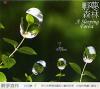 mc28884 白日夢4 孵夢森林 A Sleeping Forest (台湾版)