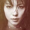 mc31550 BoA-DELUXE (台湾版)