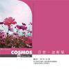 mc33236 日安。波斯菊（香港版）