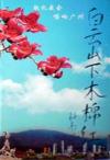 オムニバス（ベスト経典） 白雲山下木棉紅