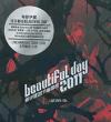 mc34461 Beautiful Day 2011演唱会 Karaoke Live　初回限定（香港版）