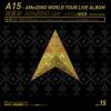 mc40277 A15 張恵妹 AMeiZING Live 世界巡迴演唱會 跨世紀盛典 輝煌完成式 （台湾版）