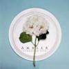 『Ambler 慢行者（台湾版）』