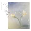 心有花開（台湾版） CD