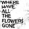 mc45573 査無此人 Where Have All the Flowers Gone（台湾版）