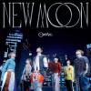 Ozone オゾン『New Moon 正式平装版（台湾版）』